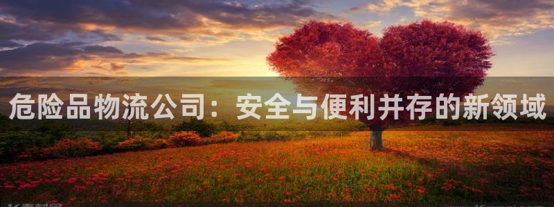 自行车旺财28是什么意思：危险品物流公司：安全与便利并存的新