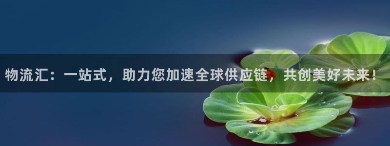 旺财28犯法吗：物流汇：一站式，助力