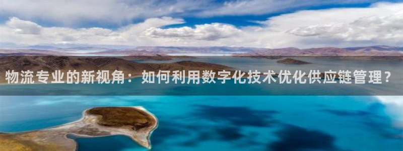 旺财28技巧：物流专业的新视角：如何