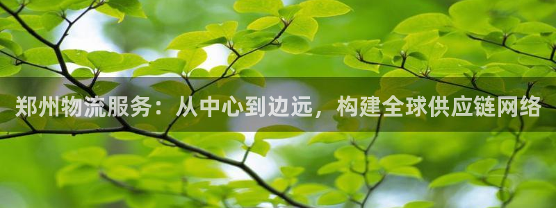 旺财28图片：郑州物流服务：从中心到