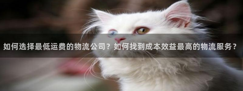 旺财28犯法吗：如何选择最低运费的物流公司？如何找到成本效益