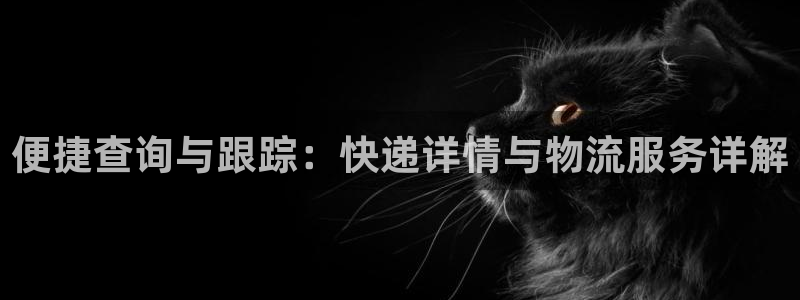 旺财28违法吗：便捷查询与跟踪：快递