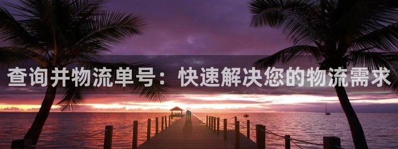 旺财28p扣除是什么意思：查询并物流