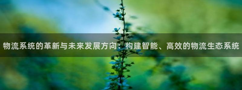 旺财28登录：物流系统的革新与未来发