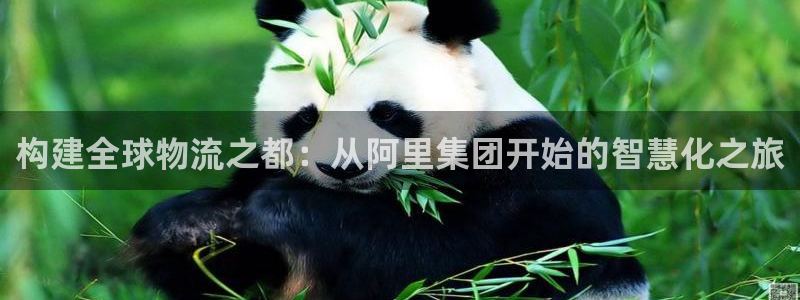 旺财28是正规平台吗：构建全球物流之