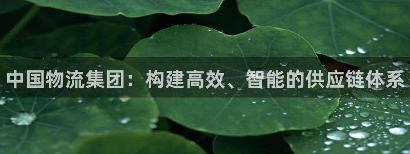 旺财28官网入口o