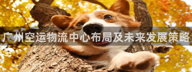 旺财28加拿大下载