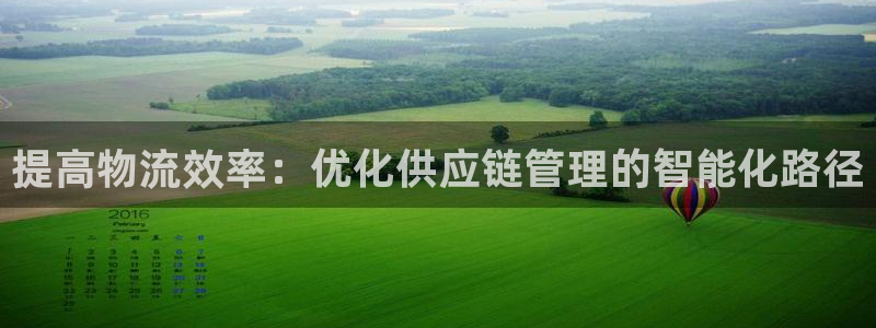 旺财28PG电子游戏：提高物流效率：