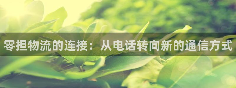 旺财28官网入口o：零担物流的连接：