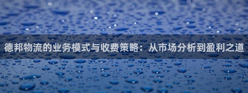 旺财28免费充钱：德邦物流的业务模式与收费策略：从市场分析到