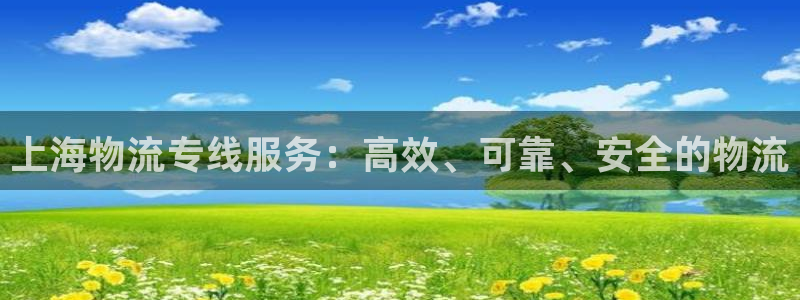 旺财28黑不黑：上海物流专线服务：高
