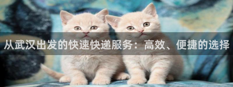 旺财28客服电话：从武汉出发的快速快