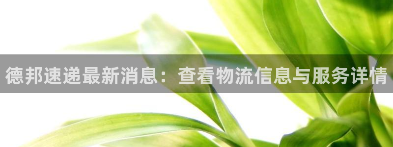 旺财28百度百科：德邦速递最新消息：