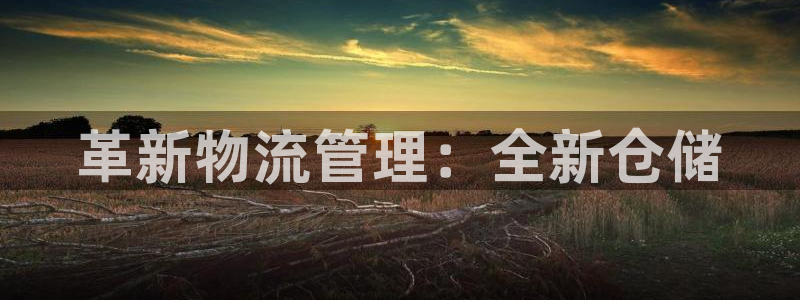旺财28网站怎么注册：革新物流管理：