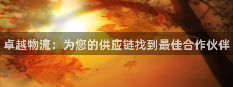旺财28是正规平台吗：卓越物流：为您的供应链找到最佳合作伙伴