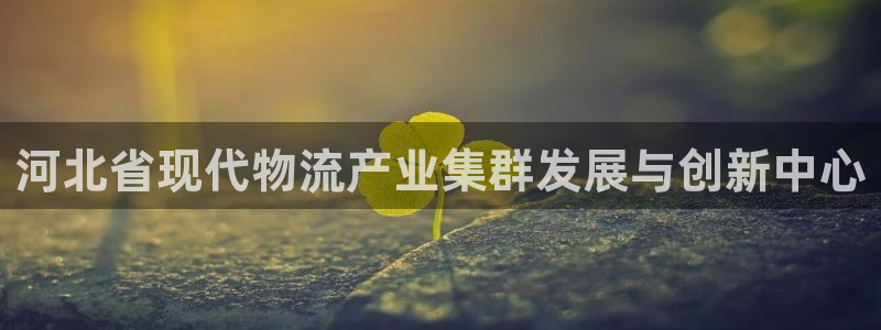 旺财28是干嘛的：河北省现代物流产业