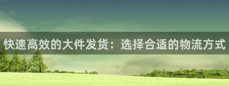 旺财28登录流程：快速高效的大件发货