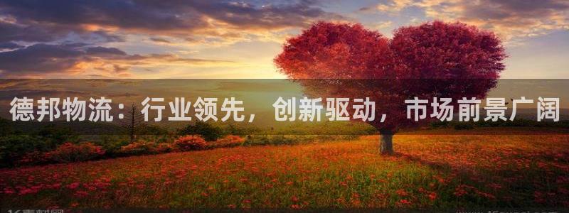 旺财28取保