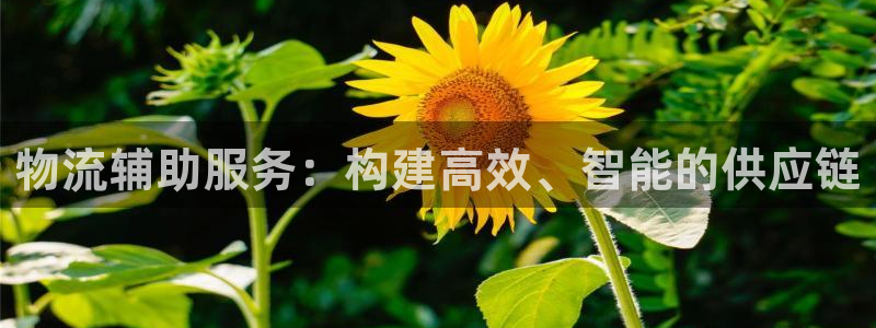 旺财28加拿大是什么：物流辅助服务：