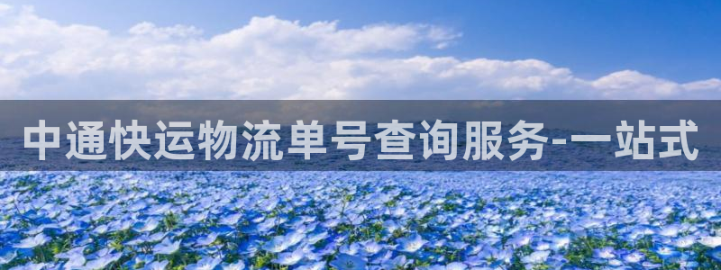 旺财28ccm游戏：中通快运物流单号