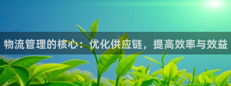 旺财28登录不上咋回事：物流管理的核
