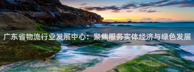 旺财28官网版所有版本：广东省物流行业发展中心：聚焦服务实体