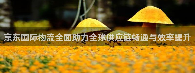 旺财28加拿大下载：京东国际物流全面