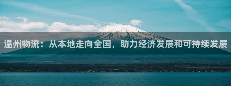 旺财28官方版网站：温州物流：从本地走向全国，助力经济发展和