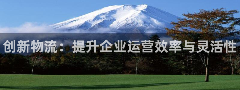 旺财28加拿大能提现吗：创新物流：提