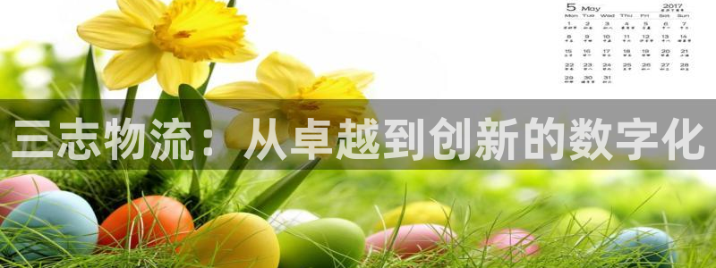 自行车旺财28是什么意思