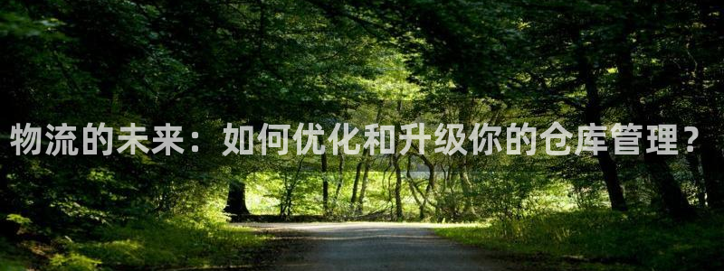 旺财28为什么没有赢过一次：物流的未来：如何优化和升级你的仓