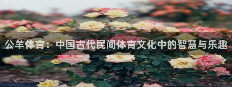 球王会体育：公羊体育：中国古代民间体育文化中的智慧与乐趣
