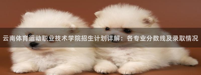 球王会体育：云南体育运动职业技术学院招生计划详解：各专业分数线及录取情况