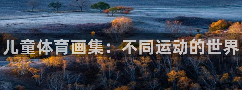 球王会体育：儿童体育画集：不同运动的世界