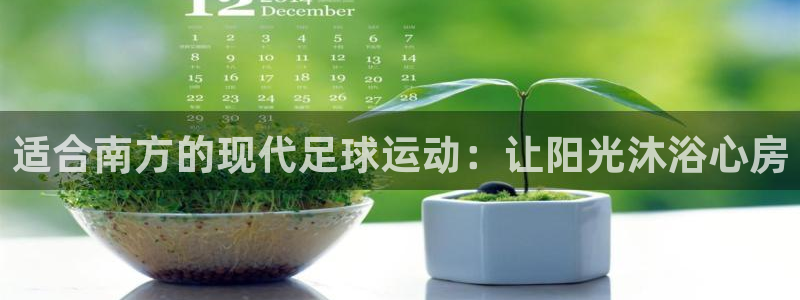 球王会体育