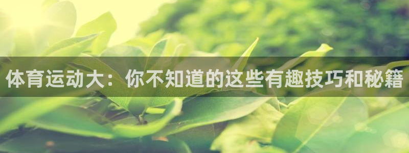 球王会体育：体育运动大：你不知道的这些有趣技巧和秘籍