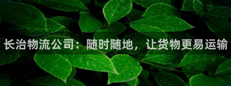 旺财28注册网址百度知道：长治物流公