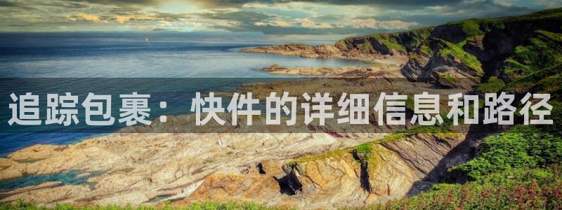 旺财28注册登录链接流程：追踪包裹：