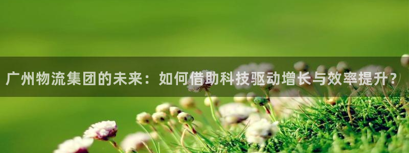 旺财28怎么申请代理：广州物流集团的