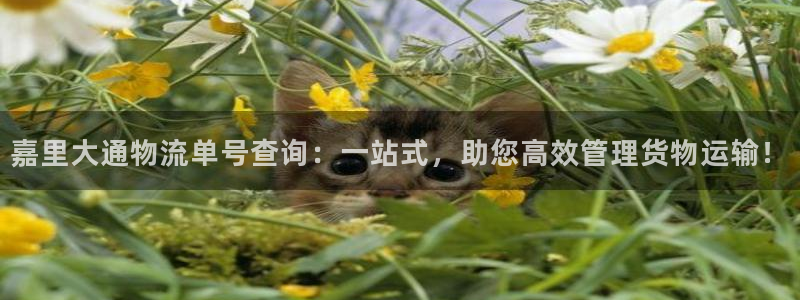 旺财28自行车搞笑图片：嘉里大通物流