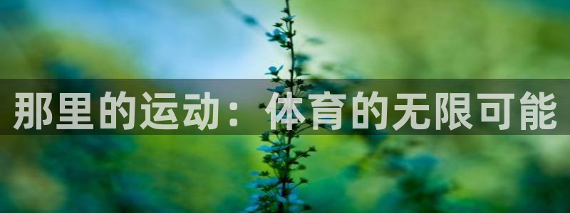 球王会体育