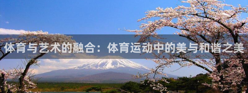 球王会体育