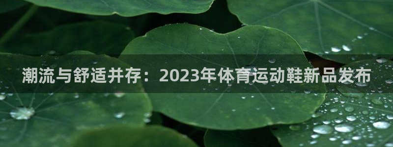 球王会体育