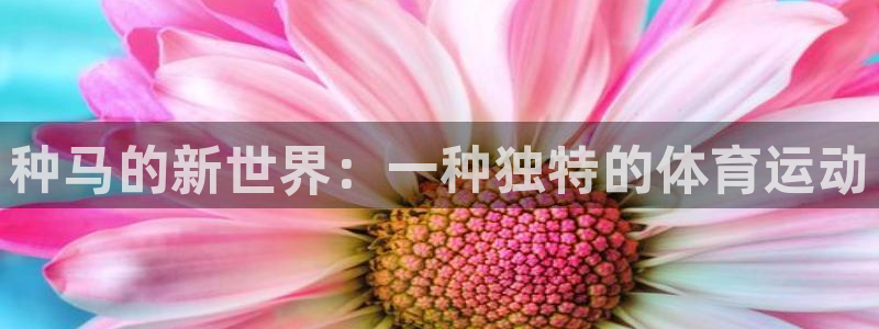 球王会体育：种马的新世界：一种独特的体育运动
