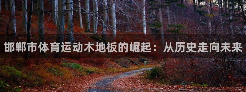 球王会体育：邯郸市体育运动木地板的崛起：从历史走向未来